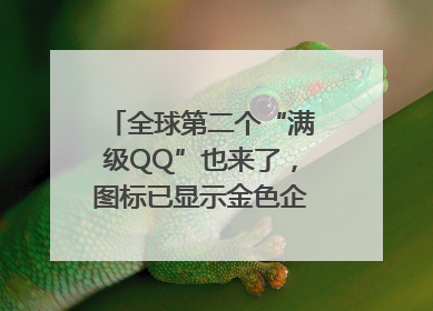 全球第二个“满级QQ”也来了，图标已显示金色企鹅，系首个“满级QQ”的小号