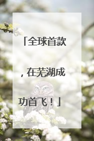 全球首款，在芜湖成功首飞！