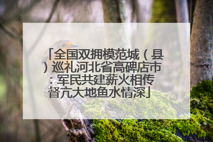 全国双拥模范城（县）巡礼河北省高碑店市：军民共建薪火相传 督亢大地鱼水情深