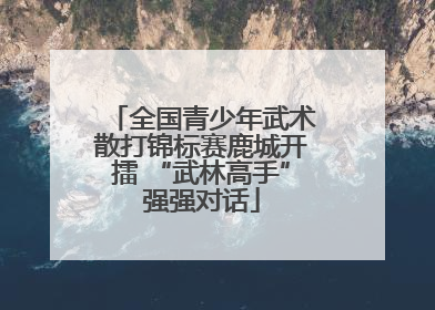 全国青少年武术散打锦标赛鹿城开擂 “武林高手”强强对话