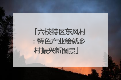 六枝特区东风村：特色产业绘就乡村振兴新图景