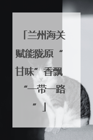 兰州海关赋能陇原“甘味”香飘“一带一路”