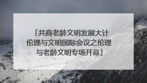 共商老龄文明发展大计 伦理与文明国际会议之伦理与老龄文明专场开幕