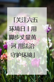 关注六五环境日丨用脚步丈量黄河 用法治守护环境
