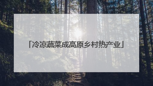 冷凉蔬菜成高原乡村热产业
