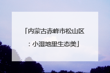 内蒙古赤峰市松山区：小湿地里生态美