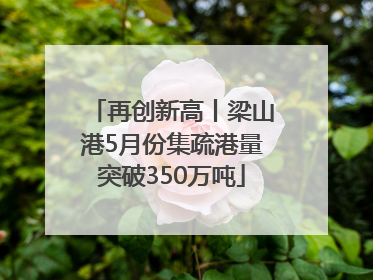再创新高丨梁山港5月份集疏港量突破350万吨