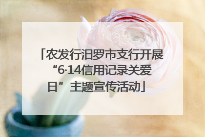 农发行汨罗市支行开展“6·14信用记录关爱日”主题宣传活动