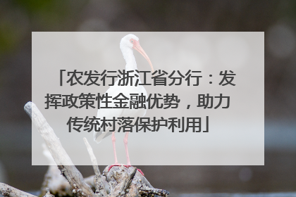农发行浙江省分行：发挥政策性金融优势，助力传统村落保护利用