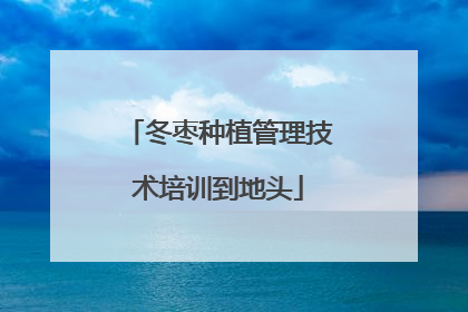 冬枣种植管理技术培训到地头