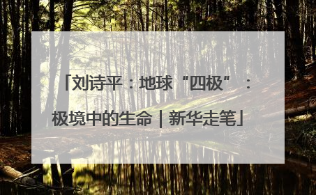 刘诗平：地球“四极”：极境中的生命｜新华走笔