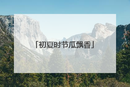 初夏时节瓜飘香