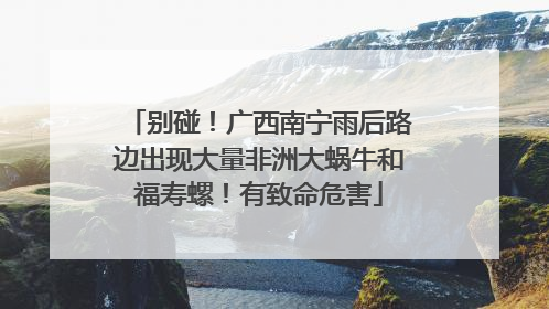 别碰！广西南宁雨后路边出现大量非洲大蜗牛和福寿螺！有致命危害