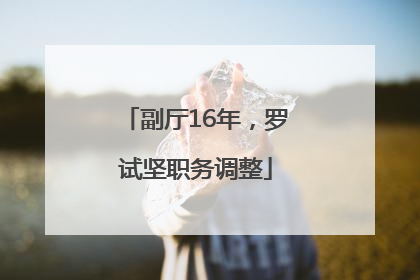 副厅16年，罗试坚职务调整
