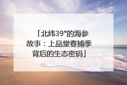 北纬39°的海参故事：上品堂春捕季背后的生态密码