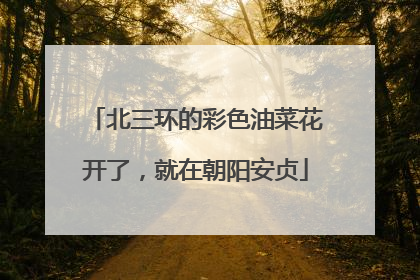 北三环的彩色油菜花开了，就在朝阳安贞