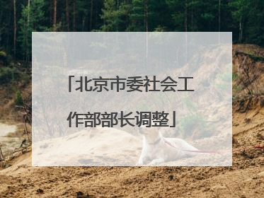 北京市委社会工作部部长调整