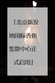 北京新发地国际香蕉集散中心正式启用