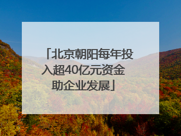 北京朝阳每年投入超40亿元资金助企业发展