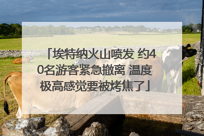 埃特纳火山喷发 约40名游客紧急撤离 温度极高感觉要被烤焦了