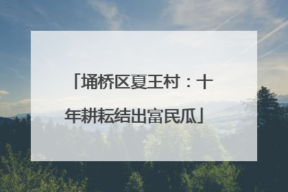 埇桥区夏王村：十年耕耘结出富民瓜