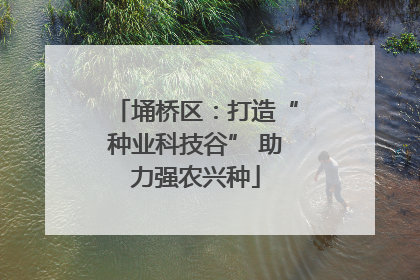 埇桥区：打造“种业科技谷” 助力强农兴种