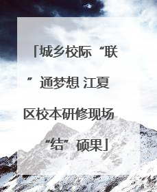 城乡校际“联”通梦想 江夏区校本研修现场“结”硕果