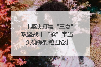 坚决打赢“三夏”攻坚战丨“抢”字当头确保颗粒归仓