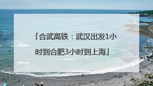 合武高铁：武汉出发1小时到合肥3小时到上海