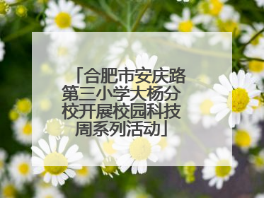 合肥市安庆路第三小学大杨分校开展校园科技周系列活动