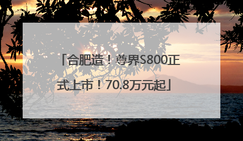 合肥造！尊界S800正式上市！70.8万元起