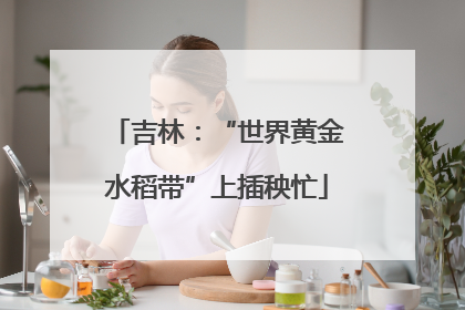 吉林：“世界黄金水稻带”上插秧忙
