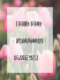 同胞·同袍：跨越海峡的抗战记忆
