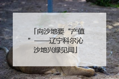 向沙地要“产值”——辽宁科尔沁沙地兴绿见闻