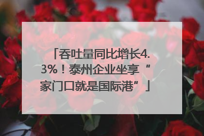 吞吐量同比增长4.3%！泰州企业坐享“家门口就是国际港”