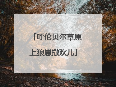 呼伦贝尔草原上狼崽撒欢儿