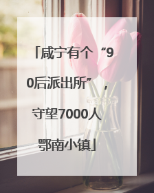 咸宁有个“90后派出所”，守望7000人鄂南小镇