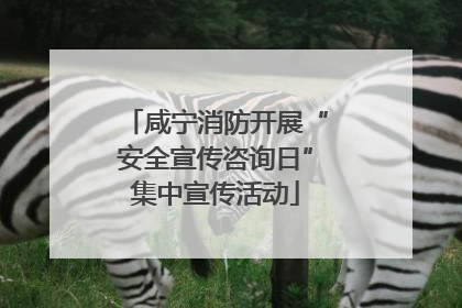 咸宁消防开展“安全宣传咨询日”集中宣传活动