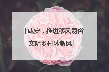 咸安：推进移风易俗 文明乡村沐新风