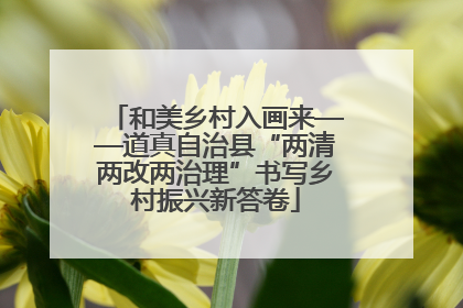 和美乡村入画来——道真自治县“两清两改两治理”书写乡村振兴新答卷