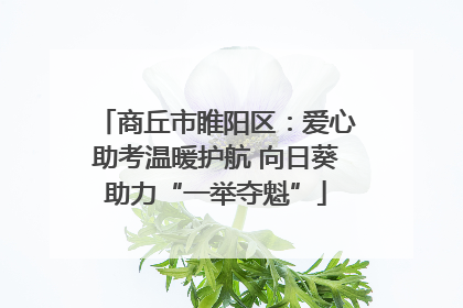 商丘市睢阳区：爱心助考温暖护航 向日葵助力“一举夺魁”