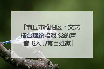 商丘市睢阳区：文艺搭台理论唱戏 党的声音飞入寻常百姓家