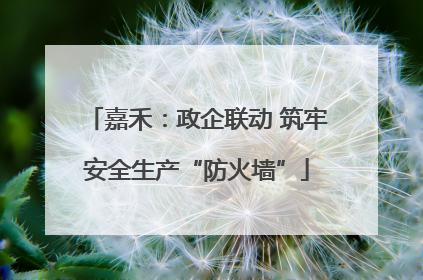 嘉禾：政企联动 筑牢安全生产“防火墙”