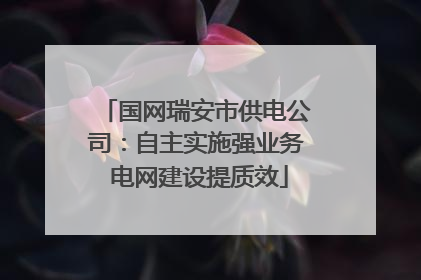 国网瑞安市供电公司：自主实施强业务 电网建设提质效