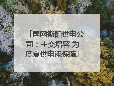 国网衡阳供电公司：主变增容 为度夏供电添保障