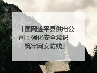 国网遂平县供电公司：强化安全意识 筑牢网安防线