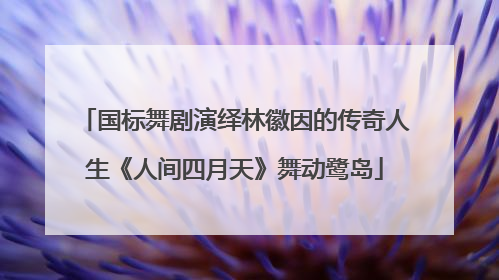 国标舞剧演绎林徽因的传奇人生《人间四月天》舞动鹭岛