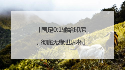 国足0:1输给印尼，彻底无缘世界杯