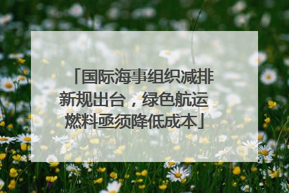 国际海事组织减排新规出台，绿色航运燃料亟须降低成本