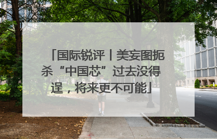 国际锐评丨美妄图扼杀“中国芯”过去没得逞，将来更不可能